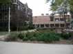 University (movie)